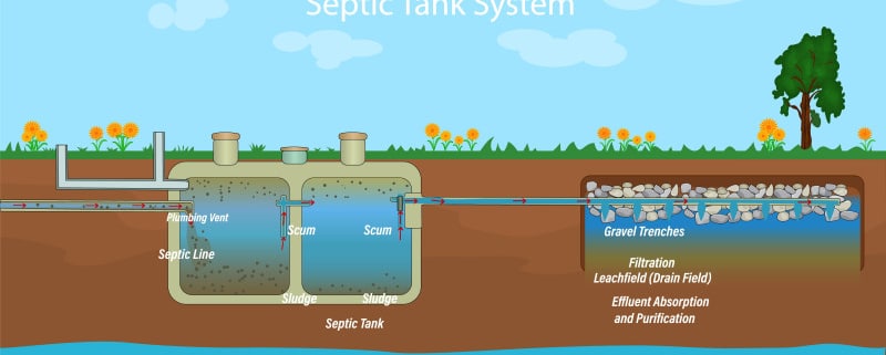 Les rôles d'un siphon disconnecteur