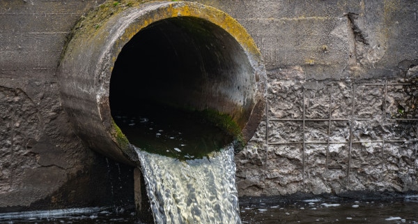 Tout savoir sur les eaux vannes